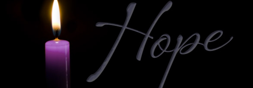 Multiplying Hope Luminex